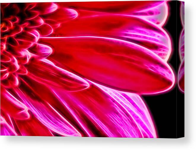 Abstract Canvas Print featuring the photograph Macro Close-up of a Pink Chrysanthemum Flower #1 by John Williams