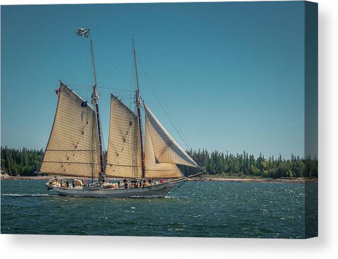 Schooner Canvas Print featuring the photograph Mary Day by Fred LeBlanc