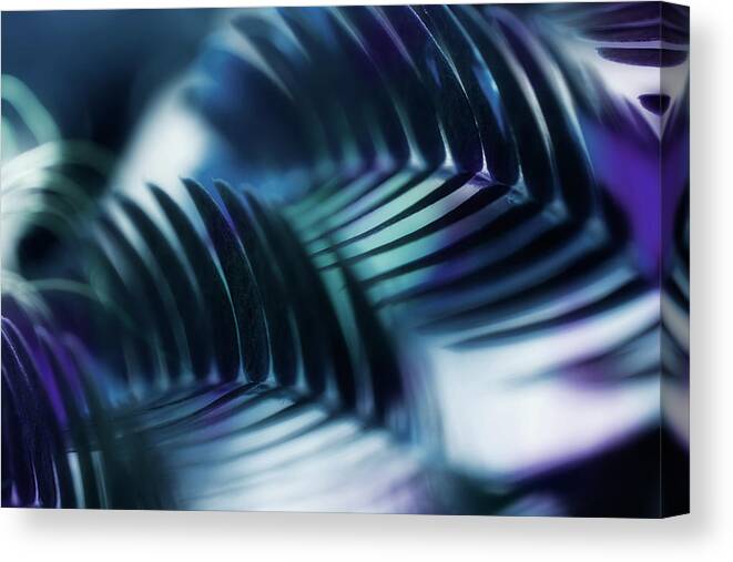 Mimosa Canvas Print featuring the photograph Mimosa Leaf Abstract 2 #1 by Mike Eingle