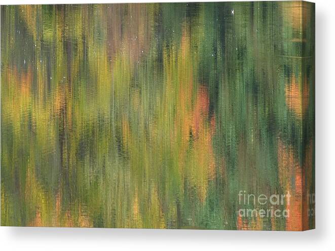 Abstract Canvas Print featuring the photograph Monet at the Biltmore #1 by Anita Adams