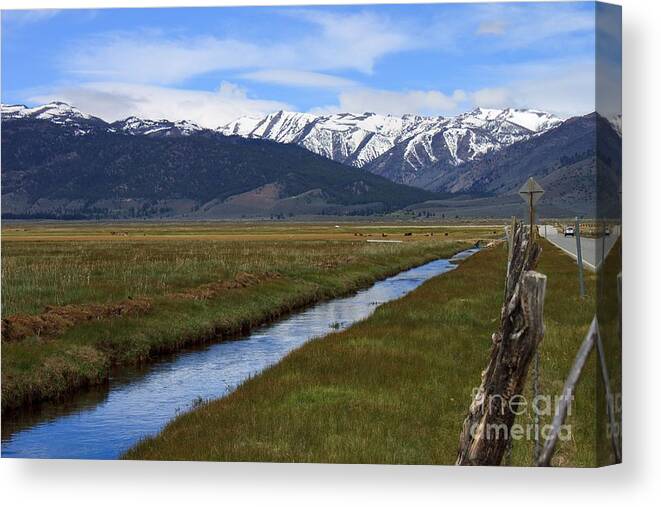 Mono Canvas Print featuring the photograph Mono County Nevada by Thomas Marchessault