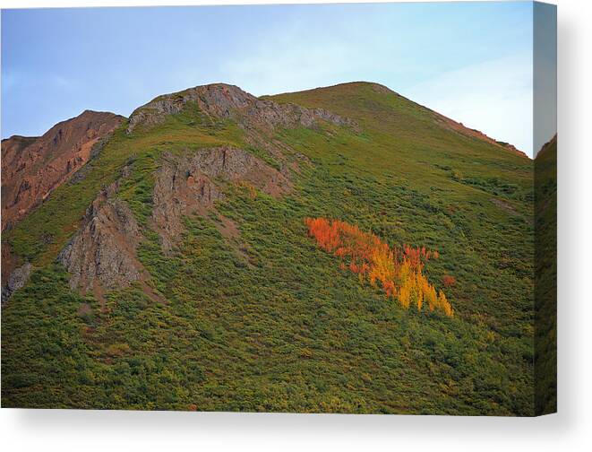 Scenic Canvas Print featuring the photograph Mt Color in Denali #1 by Doug Davidson