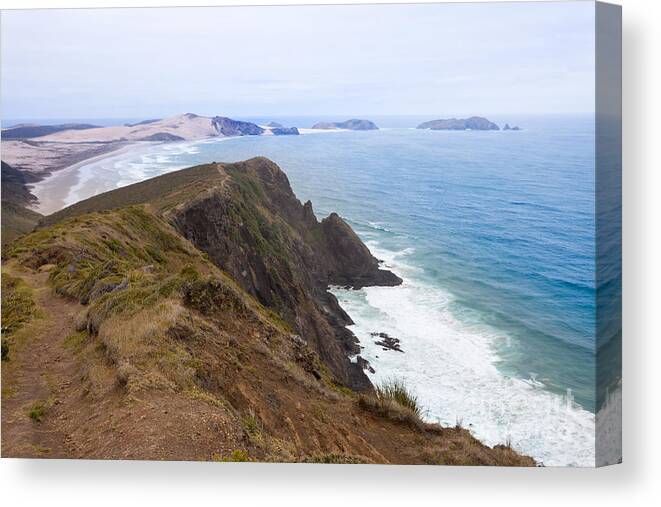 Tasman Sea Canvas Print featuring the photograph Northland sand beach near Cape Reinga New Zealand #1 by Stephan Pietzko