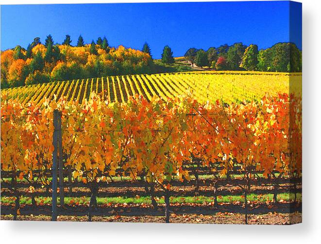 Oregon Wine Country Canvas Print featuring the photograph Oregon Wine Country #1 by Margaret Hood
