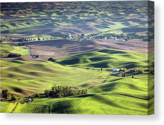 Background Canvas Print featuring the photograph Palouse #1 by Evgeny Vasenev