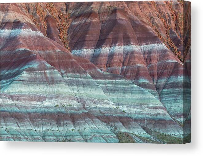 Landscape Canvas Print featuring the photograph Paria Canyon by Chuck Jason