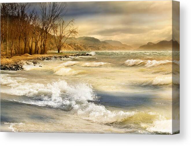 Beach Canvas Print featuring the photograph Perfect Storm #1 by John Poon