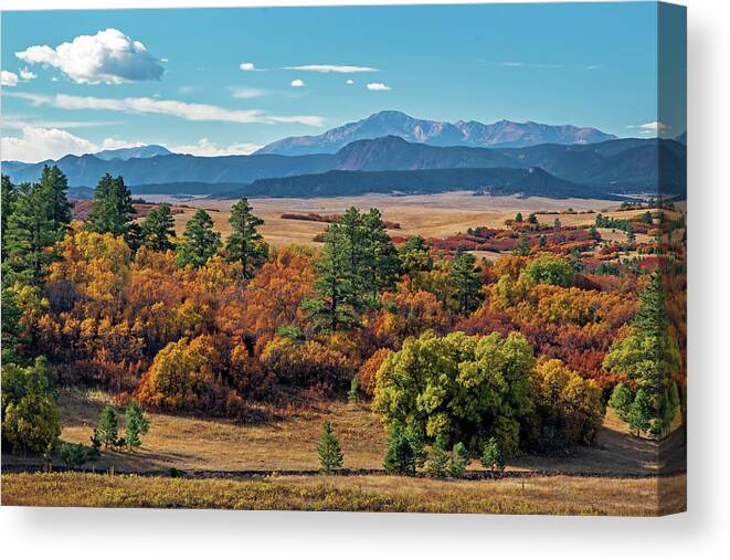Colorado Canvas Print featuring the photograph Pikes Peak Over Scrub Oak #1 by Dawn Key