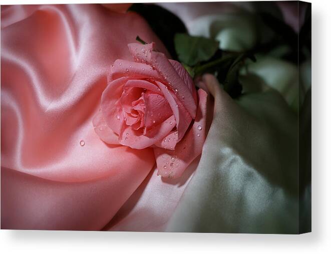 Rose Canvas Print featuring the photograph Pink Rose on the silk #1 by Lilia S