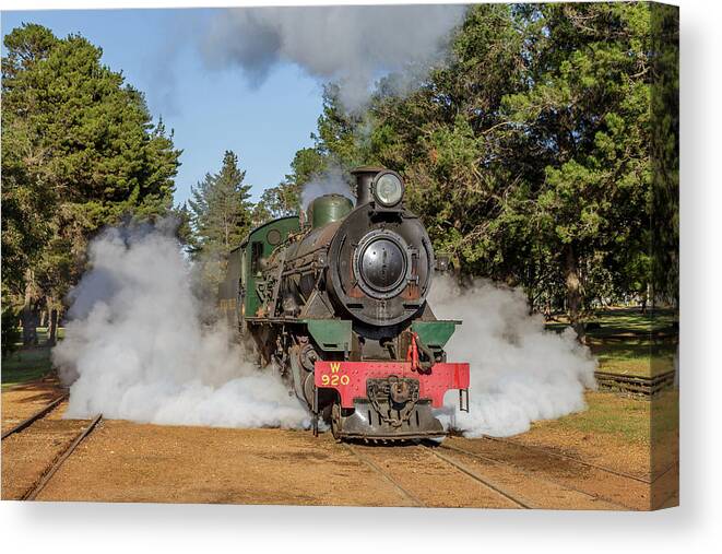 Steam Canvas Print featuring the photograph Steam Loco W920 by Robert Caddy