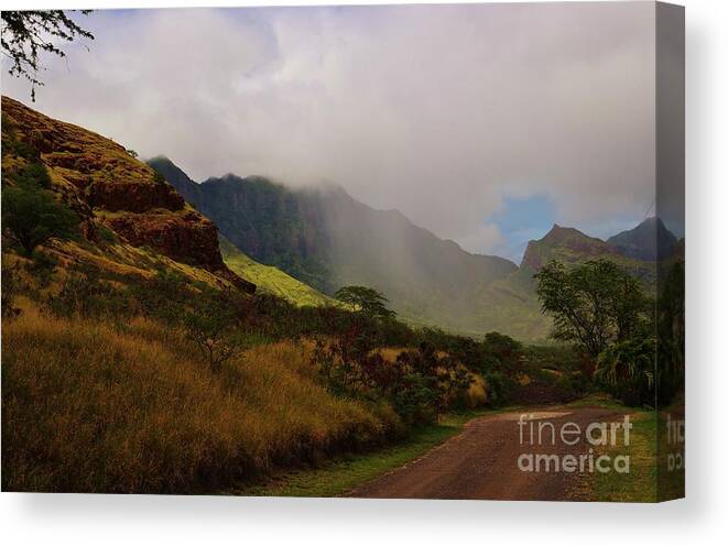 Waianae Canvas Print featuring the photograph Rain in the Valley #1 by Craig Wood