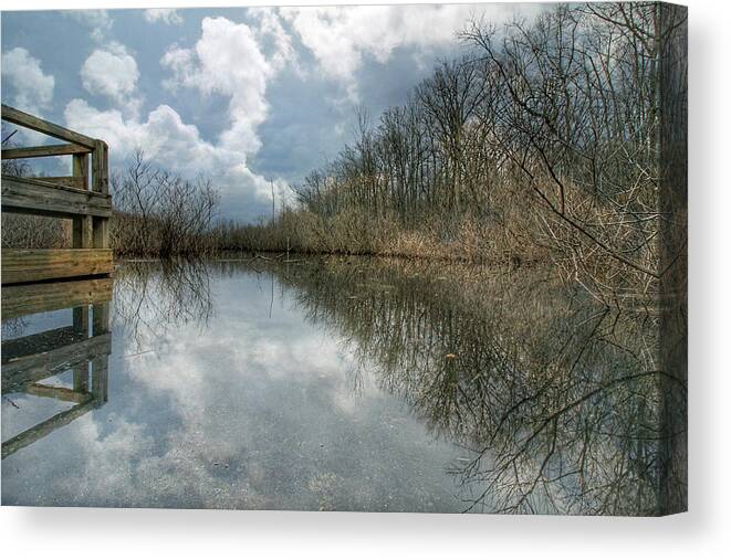 Reflect Canvas Print featuring the photograph Reflection by Jackson Pearson
