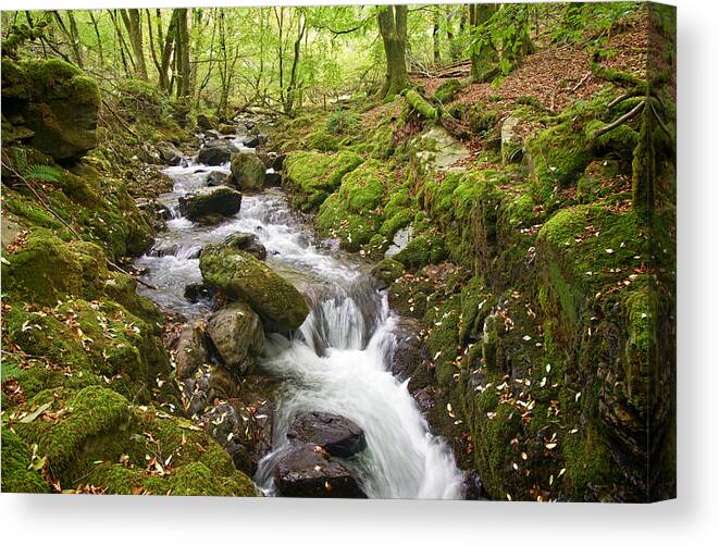 River Lyd Dartmoor Canvas Print featuring the photograph River Lyd on Dartmoor #1 by Pete Hemington