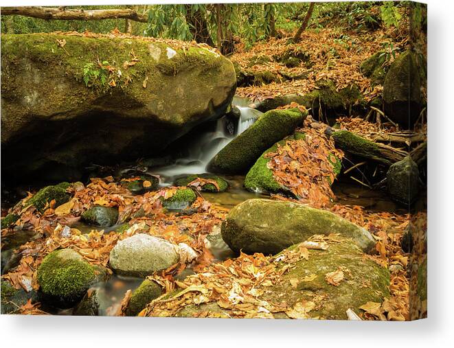 Roaring Fork Canvas Print featuring the photograph Roaring Fork Creek II by George Kenhan