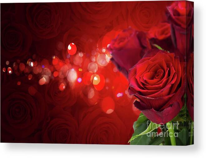 Rose Canvas Print featuring the photograph Color of Love by Anastasy Yarmolovich