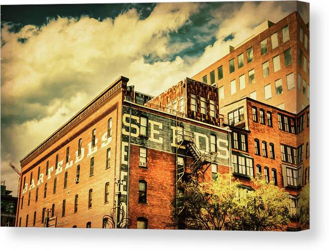 Denver Canvas Print featuring the photograph Seeds #1 by Ann Powell