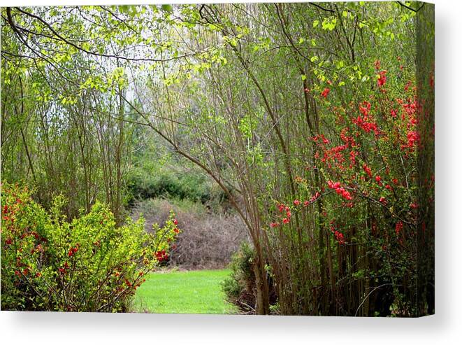 Spring Canvas Print featuring the photograph Spring Stroll #1 by Living Color Photography Lorraine Lynch