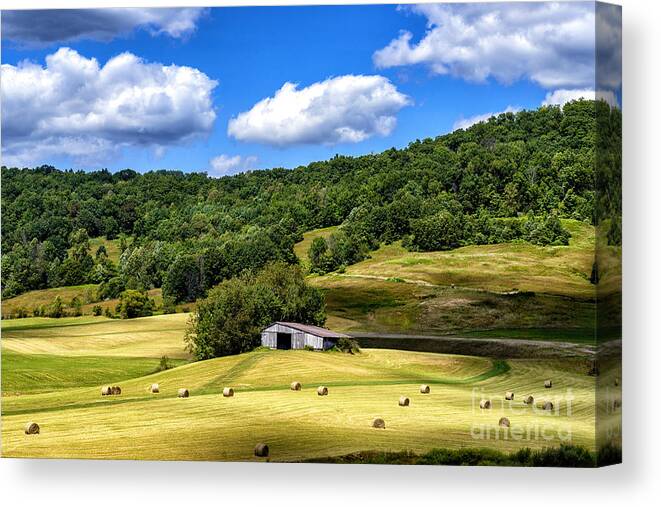 Summer Morning Canvas Print featuring the photograph Summer Morning Hay Field #1 by Thomas R Fletcher