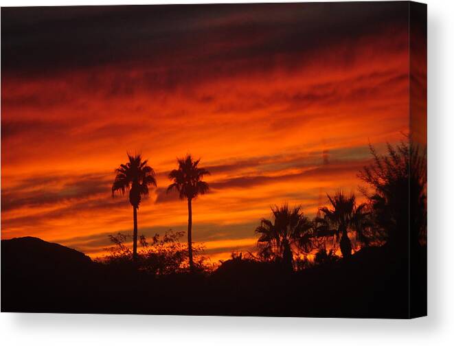 Sky Canvas Print featuring the photograph Sunrise Over Palm Desert #1 by Jay Milo