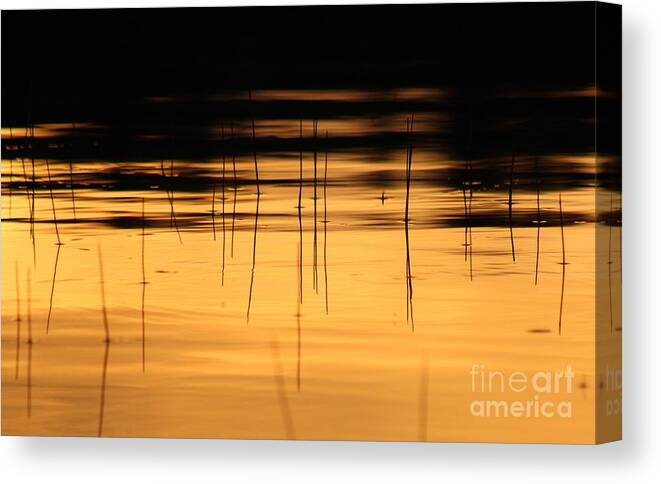 Sunset Canvas Print featuring the photograph Sunset on the water by Deena Withycombe