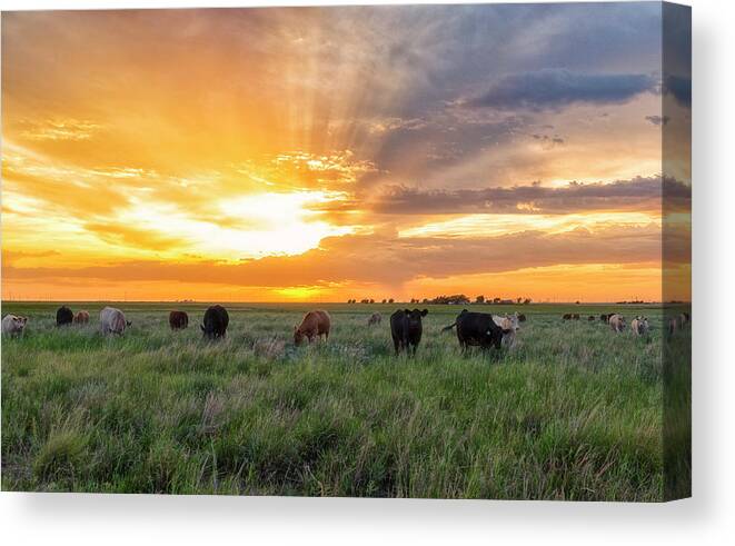 Sunset Pastures Canvas Print featuring the photograph Sunset Pastures #1 by Russell Pugh
