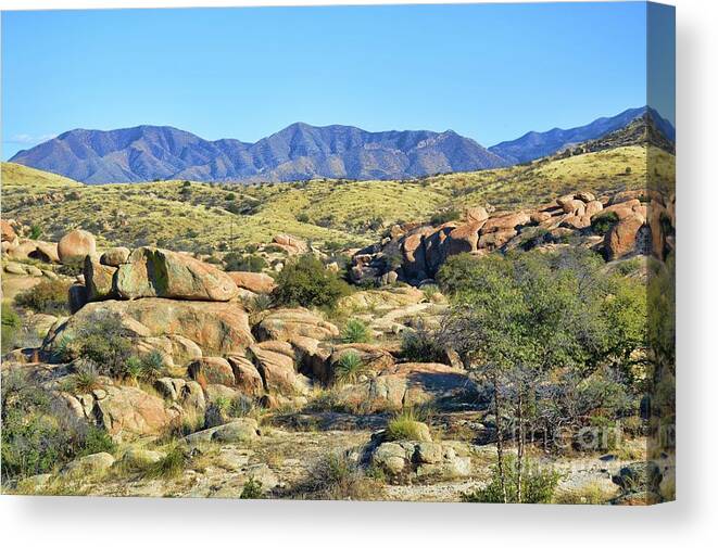 Landscape Canvas Print featuring the photograph Texas Canyon Arizona by Diana Mary Sharpton