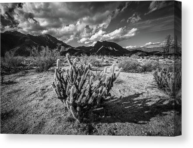 Anza - Borrego Desert State Park Canvas Print featuring the photograph The Desert #2 by Peter Tellone