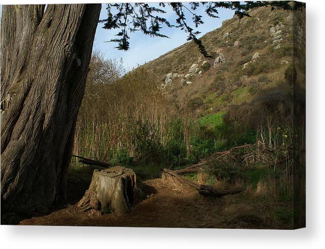 Tennessee Valley Canvas Print featuring the photograph The Spot #1 by David Armentrout