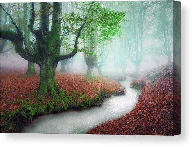 Autumn Canvas Print featuring the photograph The stream of life #1 by Mikel Martinez de Osaba