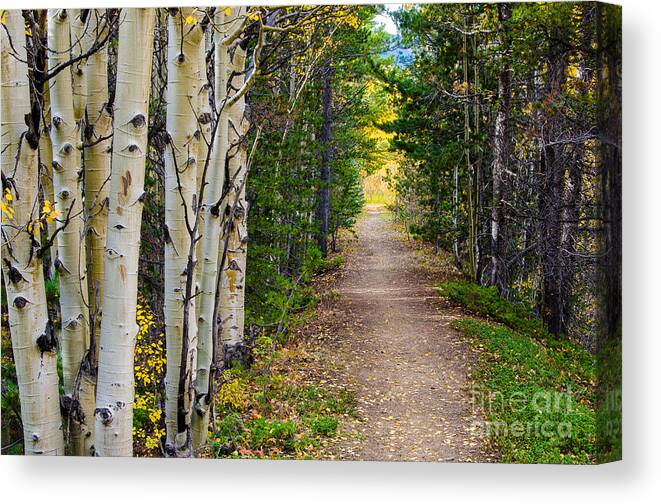 Afternoon Canvas Print featuring the photograph The Way Home #1 by Greg Summers