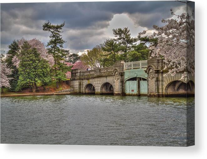 Cherry Blossoms Canvas Print featuring the photograph Tidal Basin #1 by Lee Alloway