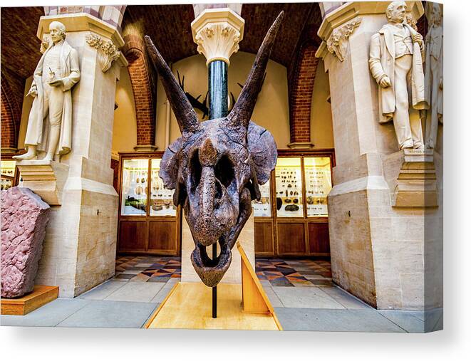 Triceratops Canvas Print featuring the photograph Triceratops Skull #1 by Ed James