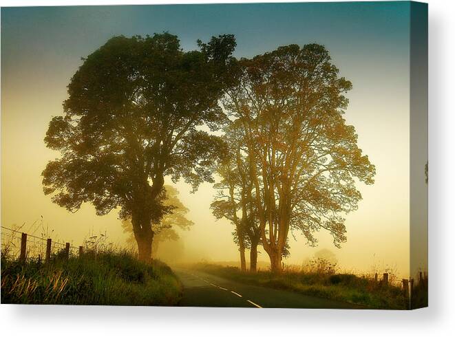 Scotland Canvas Print featuring the photograph Twilight Guardians. Misty Roads of Scotland by Jenny Rainbow