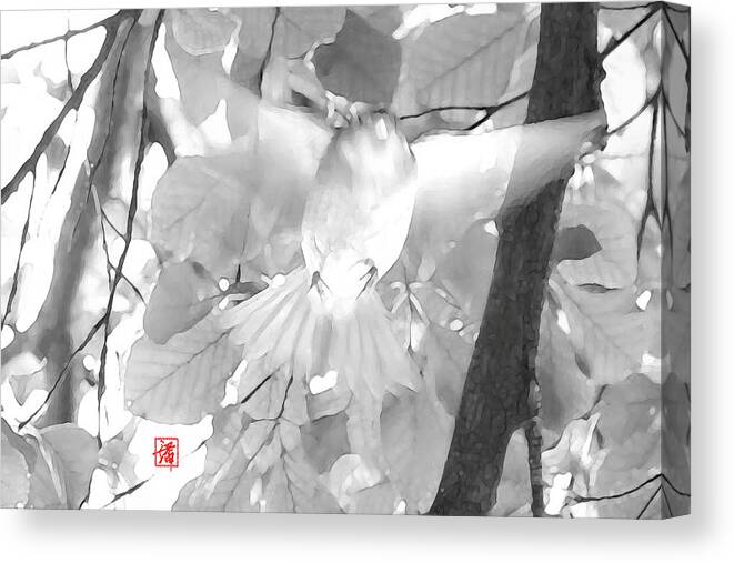 Black And White Canvas Print featuring the photograph Urge To Fly #1 by John Poon