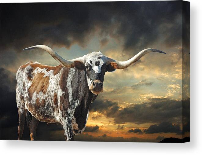 Texas Longhorn Canvas Print featuring the photograph West of El Segundo by Robert Anschutz