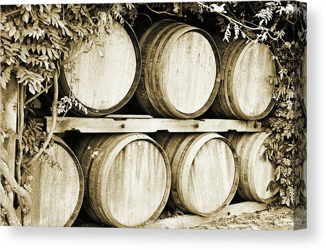 Sepia Canvas Print featuring the photograph Wine Barrels - sepia by Scott Pellegrin