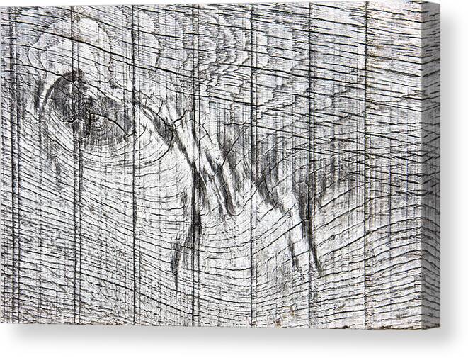 Abstract Canvas Print featuring the photograph Wood detail #1 by Tom Gowanlock