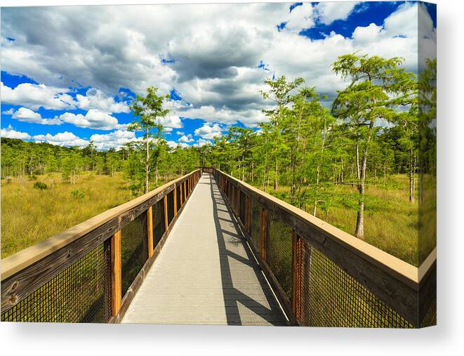 Everglades Canvas Print featuring the photograph Florida Everglades #10 by Raul Rodriguez