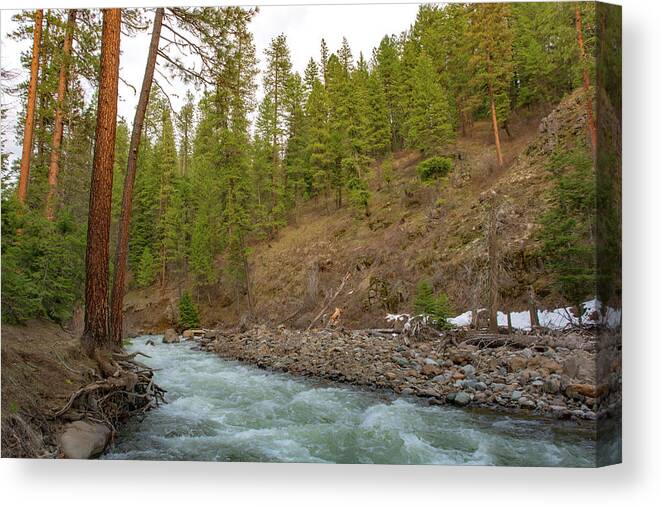 Oregon Canvas Print featuring the photograph 10895 Hells Canyon Spring Stream by Pamela Williams