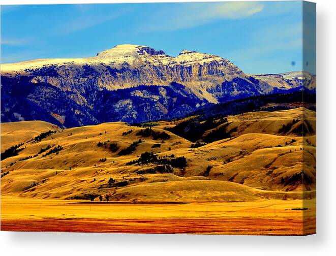 Lakeview Canvas Print featuring the photograph Yellowstone Park #12 by Aron Chervin