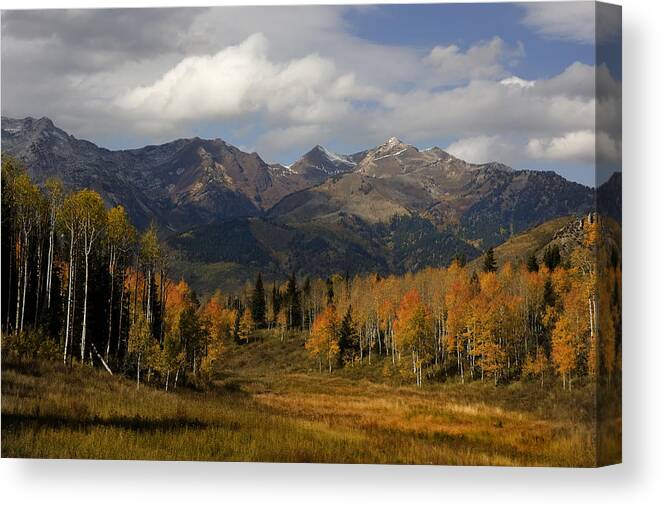 Autumn Canvas Print featuring the photograph Fall by Mark Smith