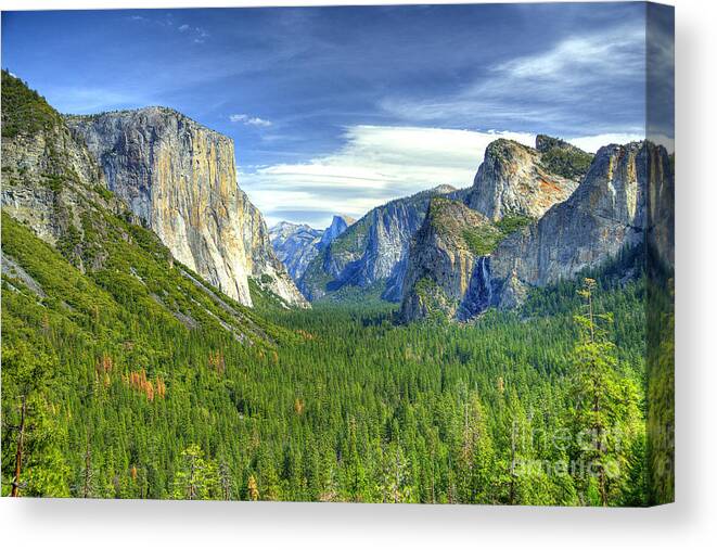 Yosemite Canvas Print featuring the photograph In Yosemite #14 by Marc Bittan