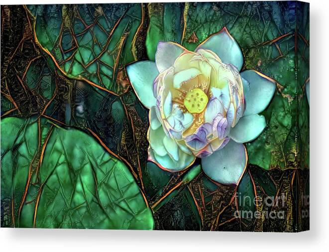 Aquatic Plant Canvas Print featuring the digital art Jeweled Water Lilies #15 by Amy Cicconi
