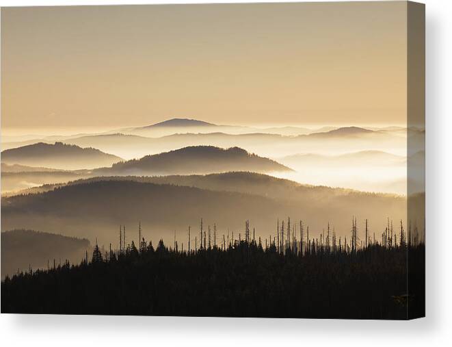 Mount Lusen Canvas Print featuring the photograph 151207p110 by Arterra Picture Library