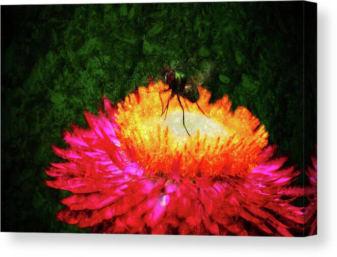 Texture Canvas Print featuring the photograph Texture Flowers #18 by Prince Andre Faubert
