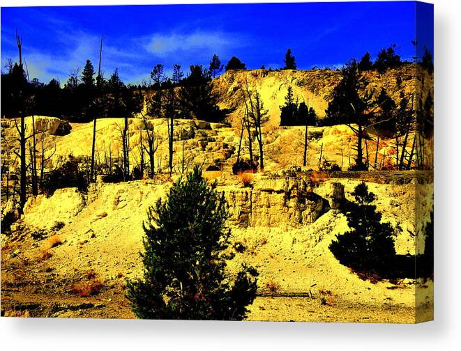 Lakeview Canvas Print featuring the photograph Yellowstone Park #18 by Aron Chervin