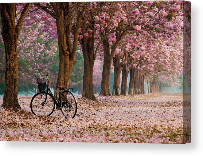 Park Canvas Print featuring the photograph Park #19 by Jackie Russo