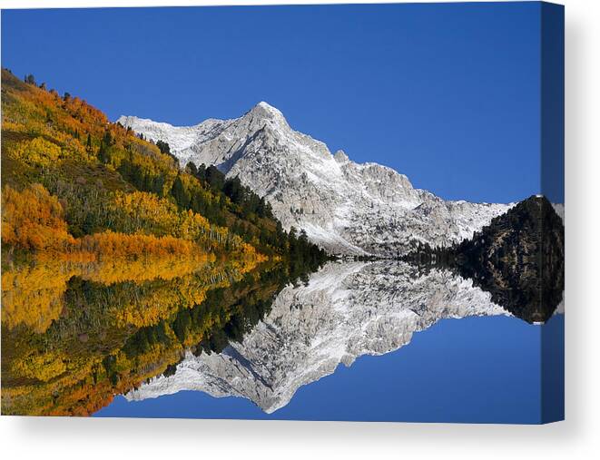 Autumn Canvas Print featuring the photograph Autumn Splender by Mark Smith