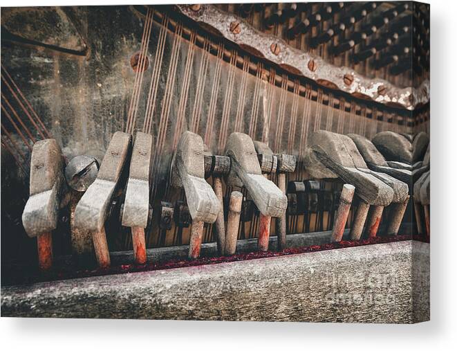 Rosie's Den Cafe Canvas Print featuring the photograph Broken Piano by Iryna Liveoak