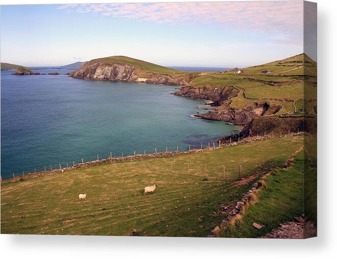 Dingle Canvas Print featuring the photograph Dingle View #2 by John Quinn